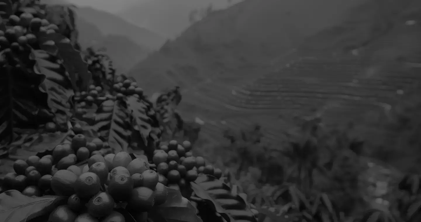 Đăng ký nhượng quyền