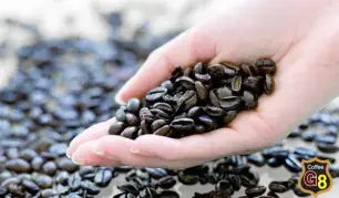 NHỮNG NGƯỜI BUÔN CÀ PHÊ