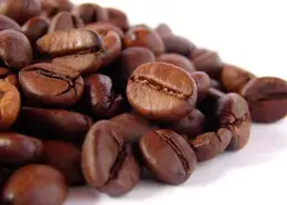 Phân biệt các loại hạt cà phê phổ biến ở Việt Nam