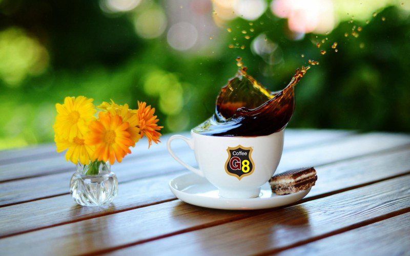 cafe sach, nguyen chat