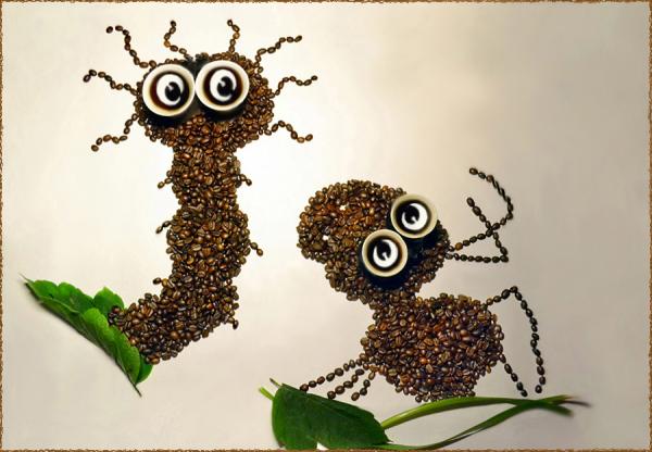 Hạt cafe sạch G8.